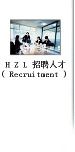 HZL 招聘人才